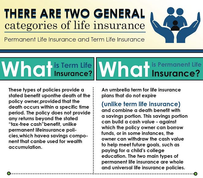 Term vs Perm Infographic